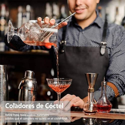 Juego de coctelera de 10 piezas, kit de barman de acero inoxidable, herramientas de mezcla esenciales para el hogar, bares y uso al aire libre