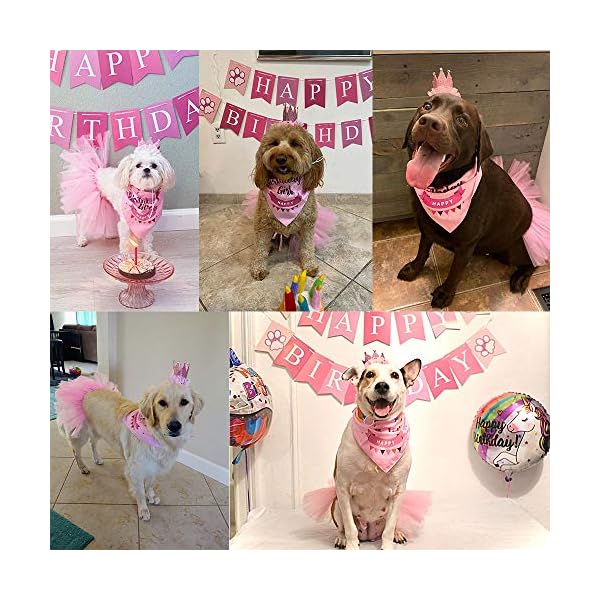 Adoggygo dog birthday bandana girl - birthday party supplies - pink tutu skirt crown hat scarf happy birthday banner dog girl birthday outfit for pet puppy cat girl (pink) - image 3