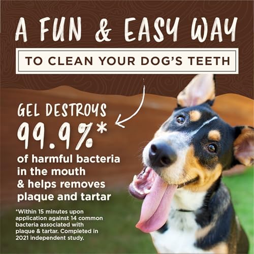 Image of TropiClean Enticers Kong Dental Ball Kit for Large Dogs | Teeth Cleaning Gel | Smoked Beef Brisket Flavor | 1 oz.