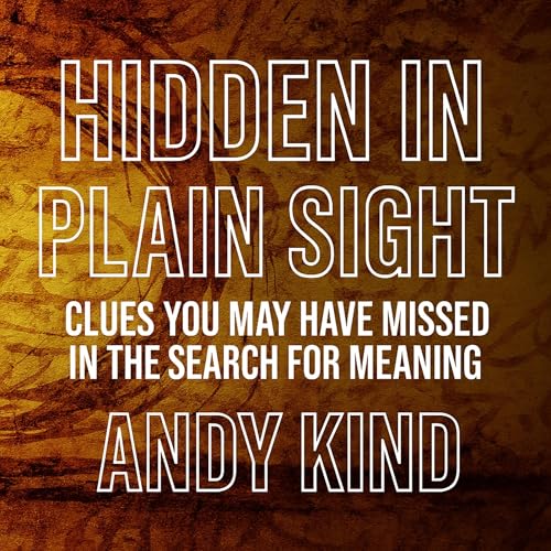 『Hidden in Plain Sight』のカバーアート