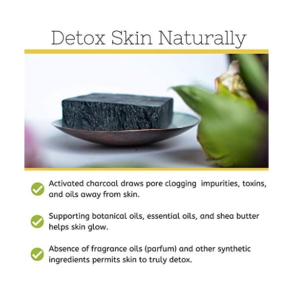 Activated-Charcoal-Soap-Bar-Natural-Face-Soap-Body-Soap-for-Acne-Blackheads-Eczema-Psoriasis-Sensitive-Skin-Black-Soap-Facial-Cleanser-for-Oily-Skin-Vegan-Non-GMO-Organic-Ingredients The Yellow Bird Natural Charcoal Soap Bar for Face, Body, Acne, and Sensitive Skin