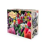 tulpenzwiebeln vermehren HOHE QUALITÄT UND SCHNELLER VERSAND - Bei Bakker helfen wir Ihnen, Ihr Haus und Garten, Terrasse und Balkon grün zu gestalten. Schon über 70 Jahre vertrauen unsere Kunden auf die hervorragende Qualität unseres umfassenden Sortiments an Pflanzenprodukten. Dies macht Bakker zur Nummer 1 im Versand von Pflanzen in Europa.