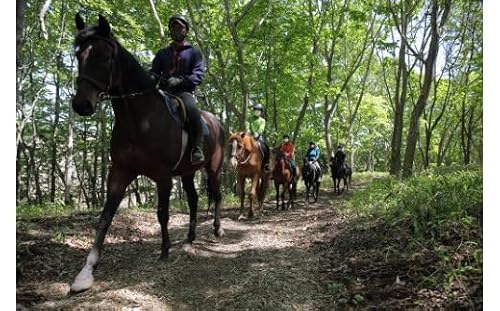 にいかっぷホロシリ乗馬クラブ 乗馬1日利用券