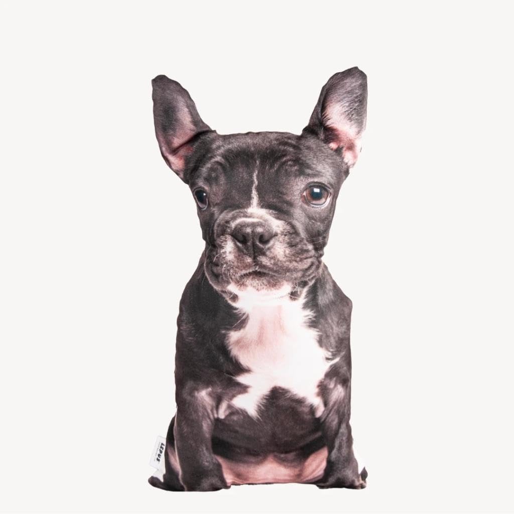 3 Boyutlu Köpek Yastığı No 14 40x25 Cm