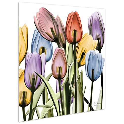 Empire Art Direct Frameless Free Floating Tempered Glass Panel Graphic Wall Art Ready To Hang, 24" X 24", Tulip Scape X-Ray Ii #TOP4