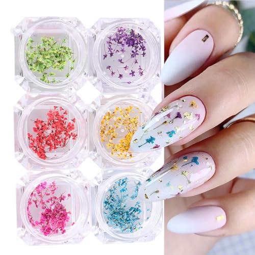 EYVRPAU Set di 6 decorazioni per unghie in gel, 6 colori, adesivi per nail art, fiori secchi, set di accessori fai da te