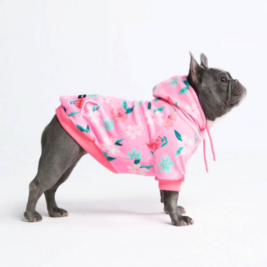 Spark Paws Dog Hoodie - Buttery-Soft Sweater Sweatshirt, Clothes for Puppy