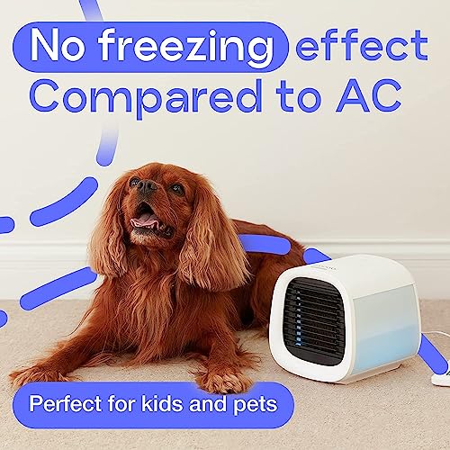Evapolar Evachill Portable Air Conditioners / Mini Ac Unit / Small Personal Evaporative Air Cooler And Humidifier Fan For Bedroom, Office, Car, Camping / Ev-500 / Urban Gray #TOP5