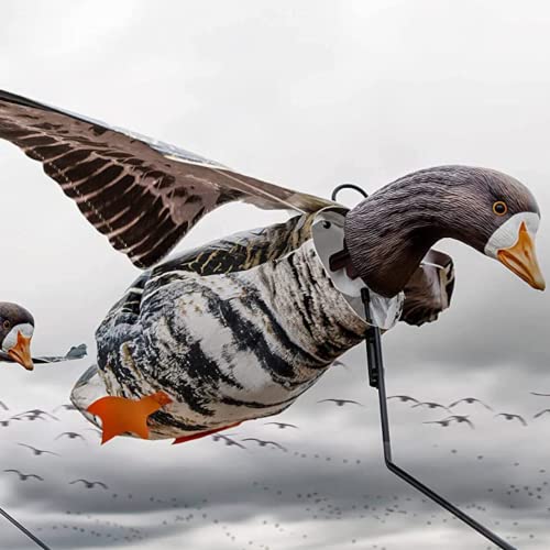 DEADLY DECOYS Specklebelly Flyer Decoy -1 Decoy
