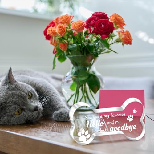 SUPERDANT Gedenkgeschenke Für Den Verlust Eines Hundes Acryltafel In Knochenform 12x6.2x1cm Gedenkornament Haustiere Andenken An Den Hund Beileidsgeschenk Für Schlafzimmer Wohnzimmer Schreibtisch