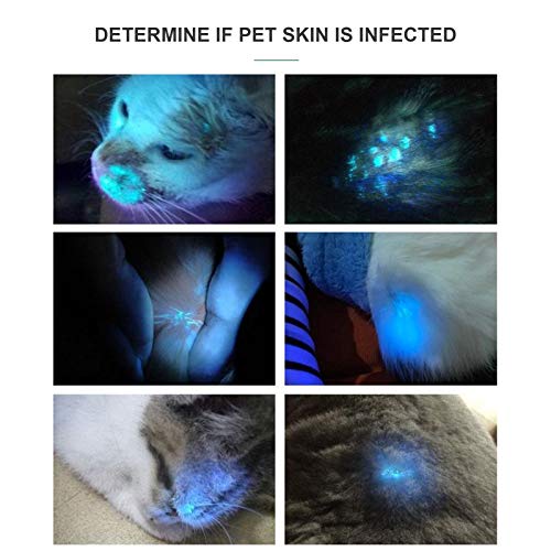 Jethrora Lanterna UV Detector de Urina para Animais de Estimação Luz Negra 100 LED 395NM Luz Negra c
