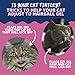 Under the Weather Hairball Gel for Cats | Vet Formulated Hairball Remedy Gel for Cats | Supports and Aids Normal & Natural Elimination of Hairballs in Adult Felines | 3.5 Ounces