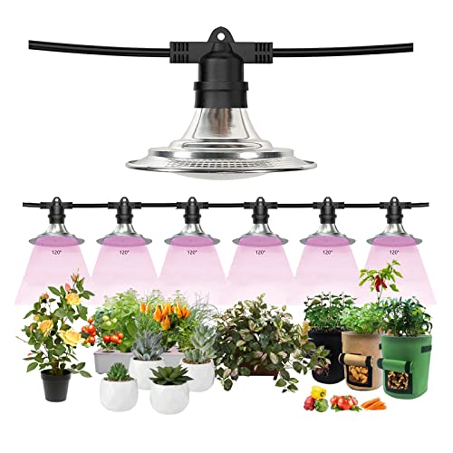 Best Greenhouse Heat Lamps Reviewed Our Top Picks in 2024