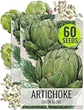 Seed Needs Artichoke Seeds for Planting Green Globe Artichokes - Non-GMO Heirloom & Untreated - Grow an Outdoor Home Grown Vegetable Garden for Fresh Produce (2 Packs)