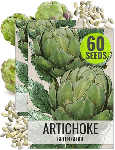 Seed Needs Green Globe Artichoke Seeds to Plant Heirloom & Non-GMO 2 Packs