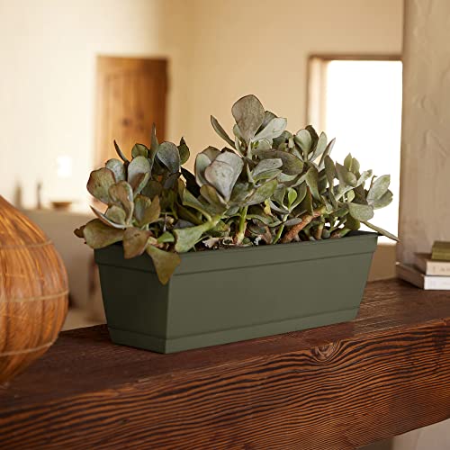 Bloem, 24, Living Green Dcbt24-42 Dura Cotta Plant Window Box, Inch #TOP4