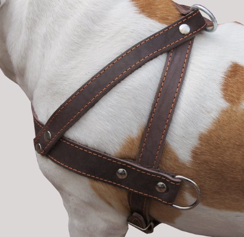 Genuine Brown Leather Dog Pulling Walking Harness XLarge. 35″-39.5″ Chest, 1.5″ Wide Straps Genuine Brown Leather Dog Pulling Walking Harness XLarge. 35″-39.5″ Chest, 1.5″ Wide Straps