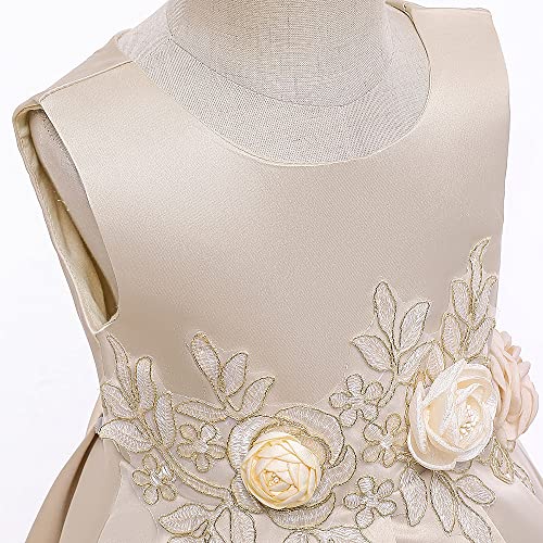 Flower Girl's Wedding Party Dress Princess Birthday Pageant Formal Ball Gown Prom4
