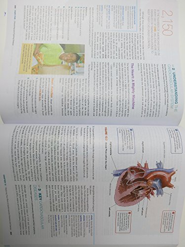 Health: The Basics, The Mastering Health Edition (12th Edition) - Thumbnail 3
