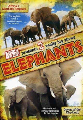 Amazon.com: Elephants : *: Movies & TV