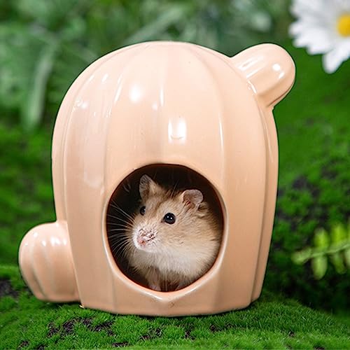 Nid de cochons d'Inde et hamsters : l'accessoire fraîcheur pour l'été - 5