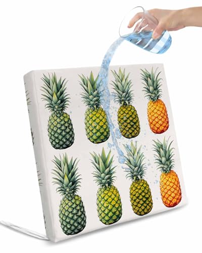 Hokiten Gradient Pineapple Outdoor Cushion Chair Cover Set of 4 - Waterproof Couch Seat Covers, Watercolor Modern Fruit Patio Furniture Protector Cushions Slipcovers for Sofa/RV, 22