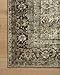 Loloi Magnolia Home by Joanna Gaines x Sinclair Collection SIN-01 Area Rug 7'-6