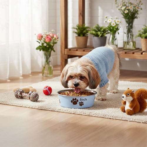Hundenapf personalisiert aus Edelstahl M 800 ml Hellblau – rutschfest, leicht & hygienisch – Futter- & Wassernapf mit Namen für große Hunde & Katzen