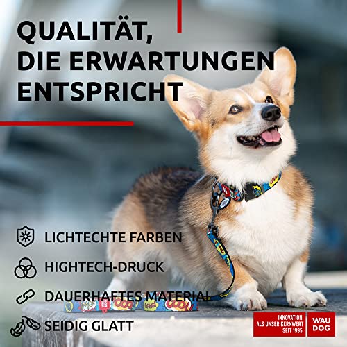 WAUDOG Nylon Hundeleine für Große, Mittelgroße und Kleinere Hunde, Welpen - Schleppleine