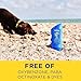 Coppertone SPORT Sunscreen Lotion Broad Spectrum SPF 50 (3 Fluid Ounce) (Packaging may vary)