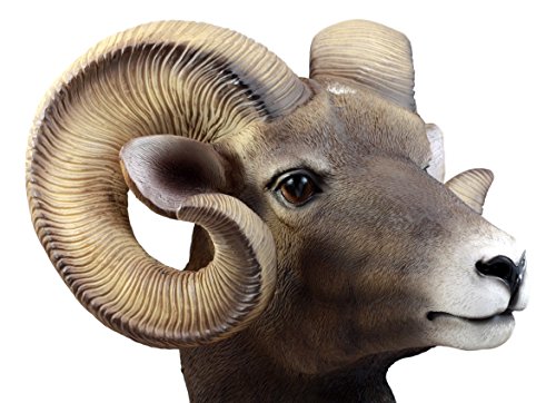 Ebros Wildlife Rustic Rocky Mountains Bighorn Sheep Ram Trophy Taxidermy Wall Decor Sculpture Hanging Plaque Hunters Cabin Lodge Country Farmhouse Nature Figurine 15"H #TOP3