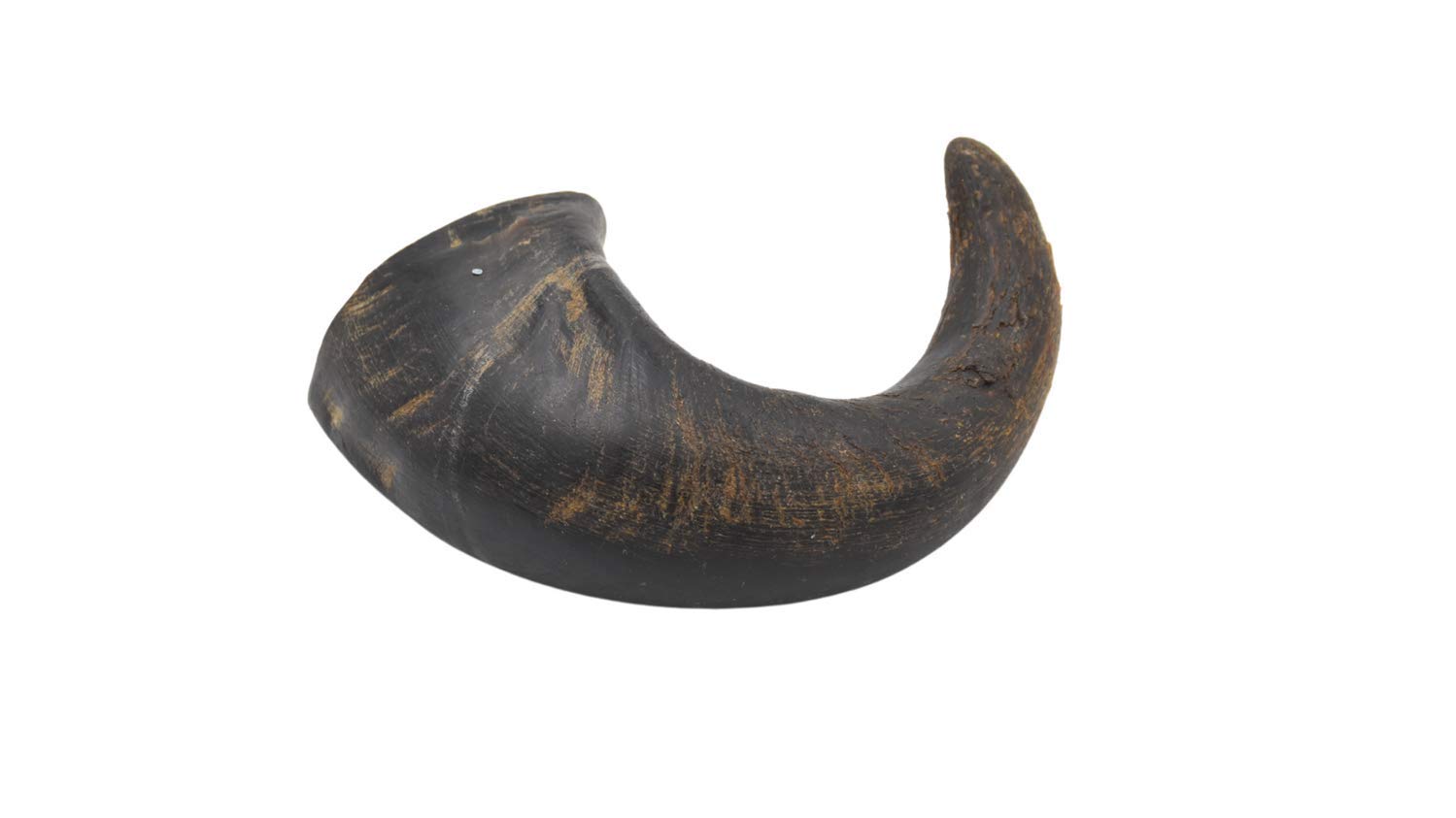 Express Pet Supplies Medium Buffalo Horn Dog Treat Chew