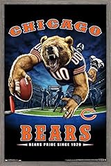 Barnwood Framed Version