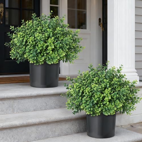 Set of 2 Artificial Boxwood Topiary Trees for Front Door - Faux Realistic Greenery Potted Plants,...