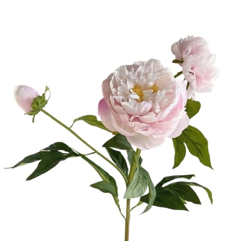 大輪の牡丹♦️華やかでモダンな花器♦️インテリアとしても♦️補償付 送料込 Amazon|家の装飾用の模擬牡丹の花 - リアルな牡丹の花 3 個