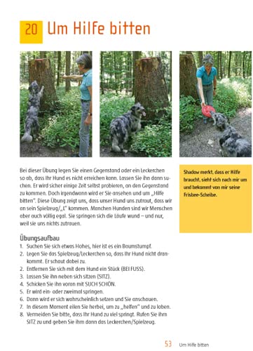 Spiel & Spaß mit Hund: Beschäftigungsideen für zu Hause und unterwegs