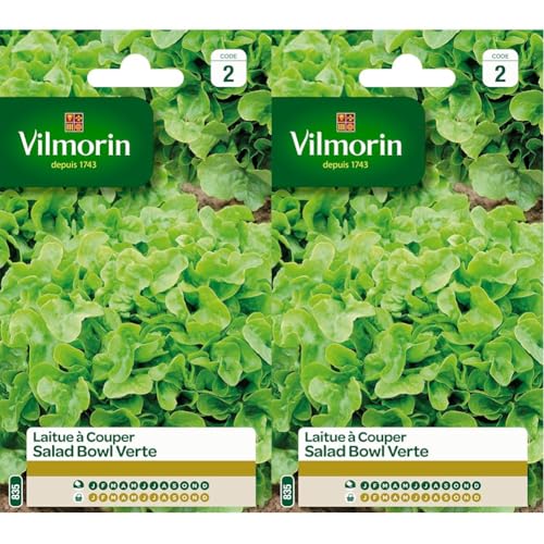 Vilmorin 3609742 Pack de Graines Laitue à Couper Salade Bol Vert (Lot de 2)