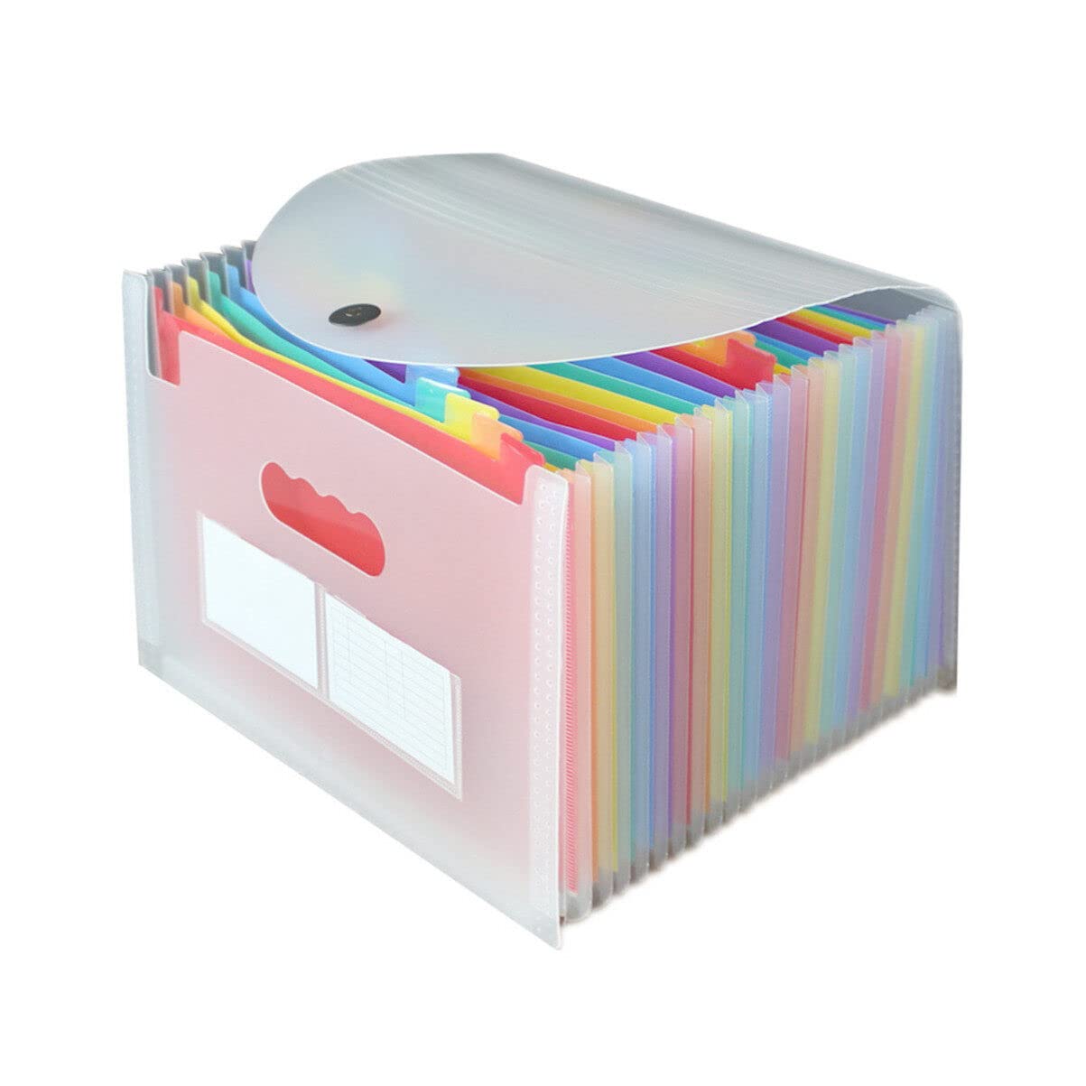 Baluue Carpeta Organizador Expandible De Diseño Transparente y Multi Escuela y