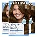 Clairol Nice'n Easy Permanent Hair Color, 6A Light Ash Brown, 3 Count