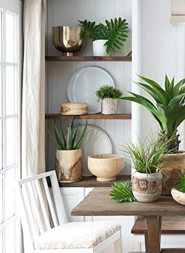 Serene Spaces Living SSLMY162792PCSFS Paulownia Wood Decorative Bowl thumb #6