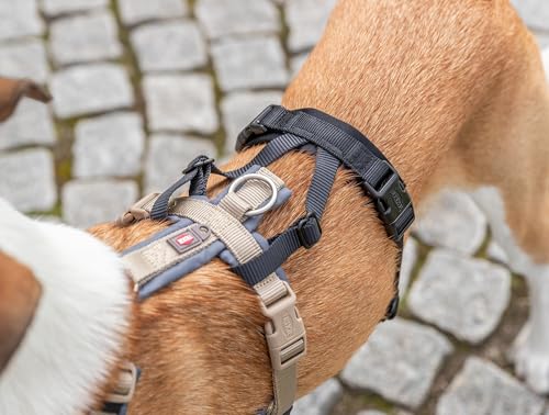 Panik-Adapter Stay für Geschirre, S–M: 38–57 cm/15 mm, schwarz