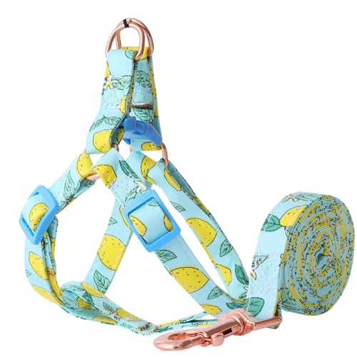 Image of HDKUW Cat Harness with Leash, Fruit Pattern Step in Dog Harness Vest, Adjustable Lightweight Pet Harness for Cat Puppy Small Dogs Lemon S