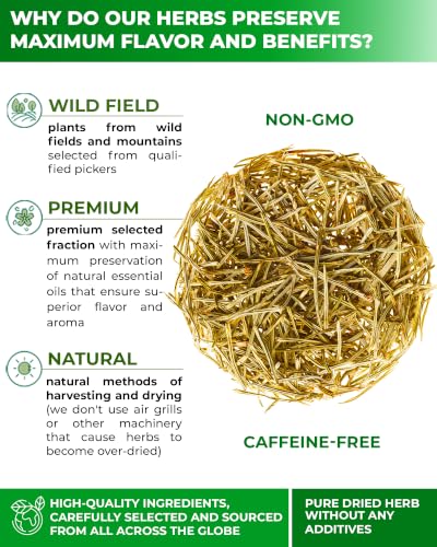 Image of 4 oz. Horsetail Herb Horsetail Tea Cola De Caballo Hierba Horse Tail (Equisetum Arvense) - 113g Herb Tea Horse Tail