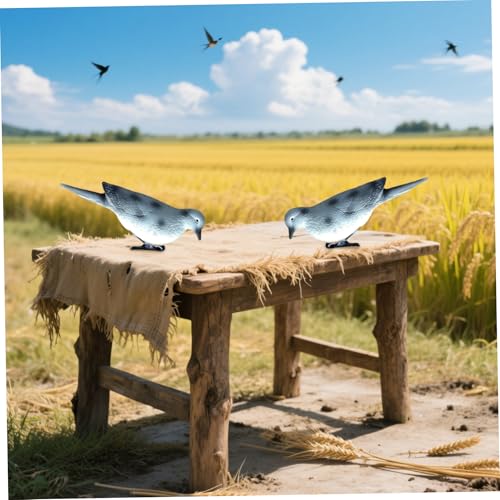 Formes de pigeon anti-reflet et résistantes aux intempéries avec clips