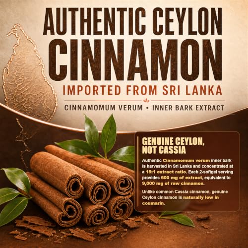 JXSVR Ceylon Cinnamon 15:1 Extract Softgels