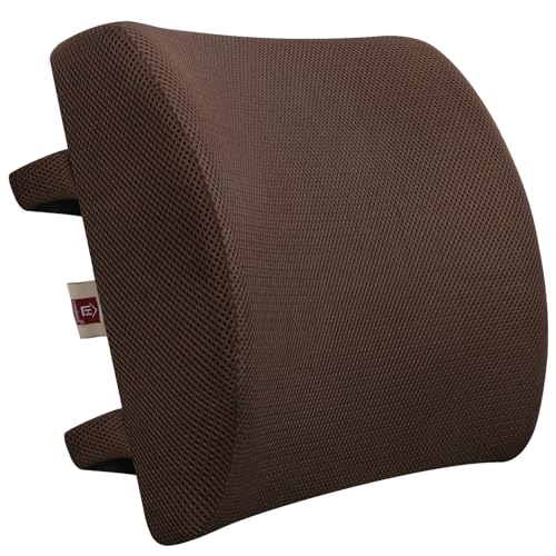 Memory Foam Lumbar Support Back Cushion with 3D Mesh Cover Balanced Firmness Designed for Lower Back Pain Relief- Ideal Back Pillow for Computer/Office Chair, Car Seat, Recliner etc. (Azure)