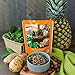 Real Food Blends Beef, Potatoes & Spinach - Pureed Food Meals for Tube Feeding with Protein, Vegetables & Fruits - 330 Calories for Lunch & Dinner - 9.4 oz (Pack of 12)
