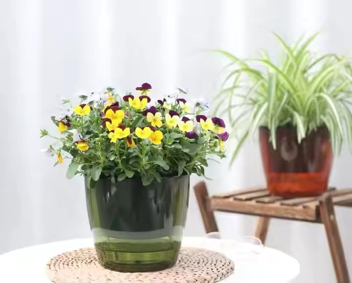 Smart Self-Watering Planter Pot with Water Level Indicator, Modern Design, 6 x 7.5 x 6 inches (4, Green)
