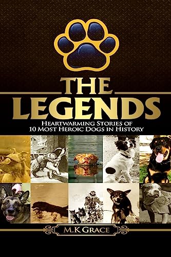 The Legends: Heartwarming Stories of 10 Most Heroic Dogs in History