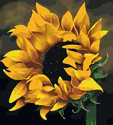 Point de Croix Kit débutant fleur jaune canevas à broder soi-même 11CT estampé 40x50cm